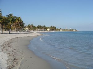 plage miami