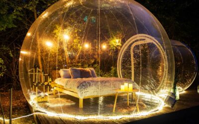 Évasion en nature : Les meilleurs spots de glamping selon Airbnb