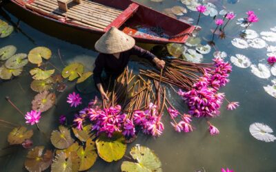 Découvrir l&rsquo;Asie hors des sentiers battus : Conseils et astuces